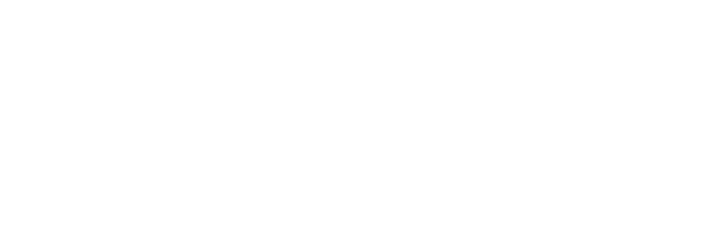 BORN FASHION Logo – Marken Outlet Schweiz für Damen-, Herren- und Kindermode